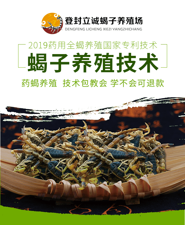 药蝎养殖技术，药蝎怎么养？