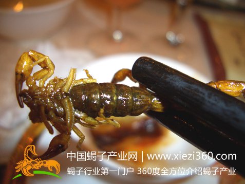 全蝎治耳暴聋闭药方