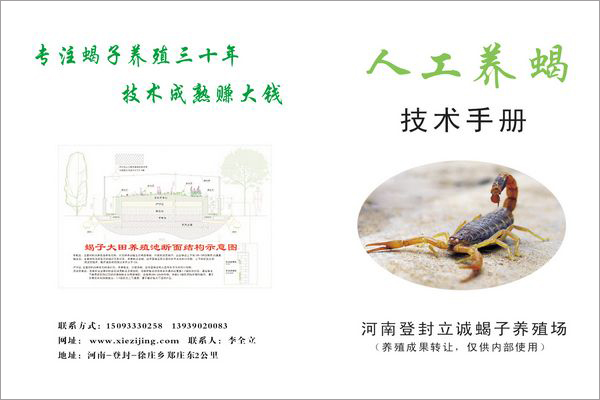 下雨天蝎子养需要注意什么?雨季蝎子养殖技术的关键是什么?