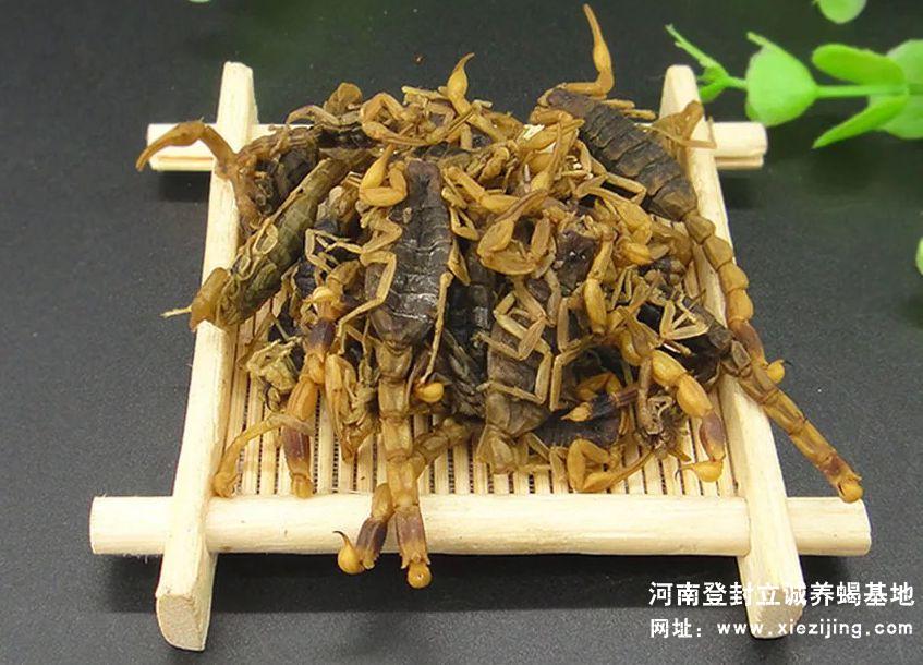 油炸蝎子一顿可以吃多少,油炸蝎子怎么做